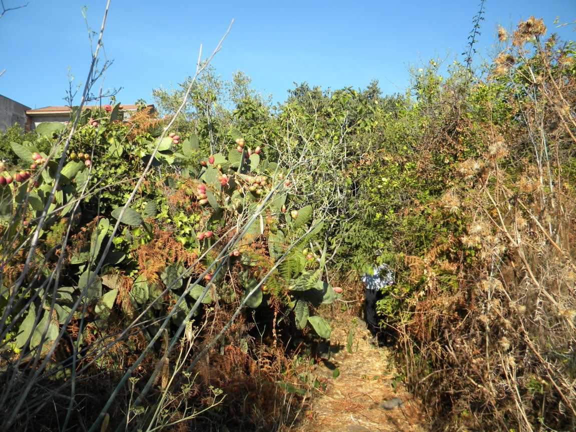 DSCN8088 .JPG
